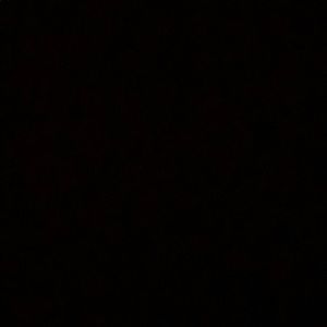 Meet your Posher, Will